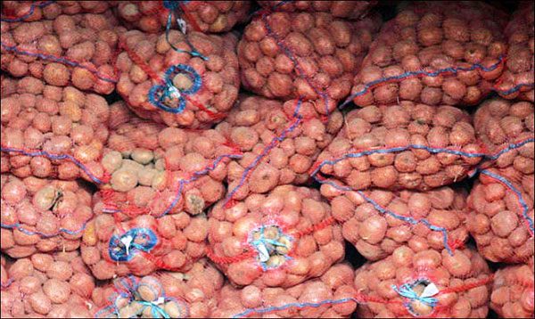 आलू में ज़हर