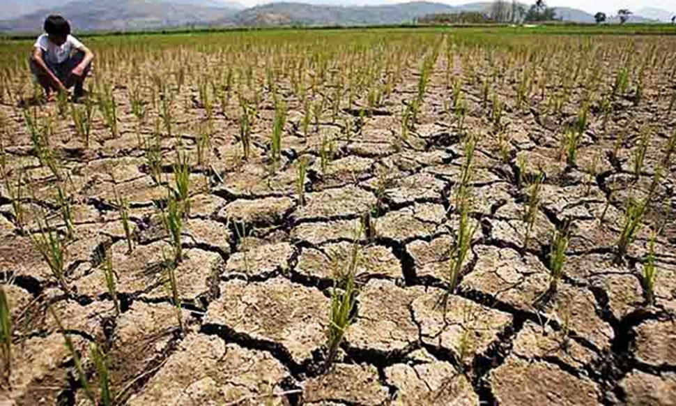 भारत में सूखा