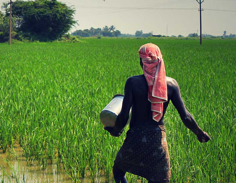 युवा आबादी