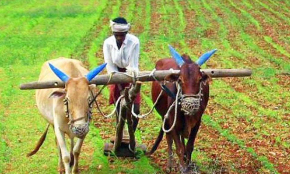 पीएम-आशा