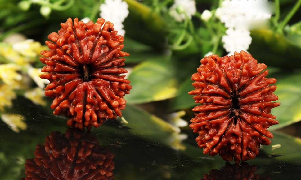 रुद्राक्ष जो समस्याएं ख़त्म करता है