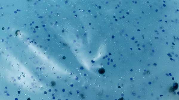 प्लास्टिक का प्रदूषण