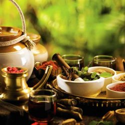 आयुर्वेदिक चिकित्सा