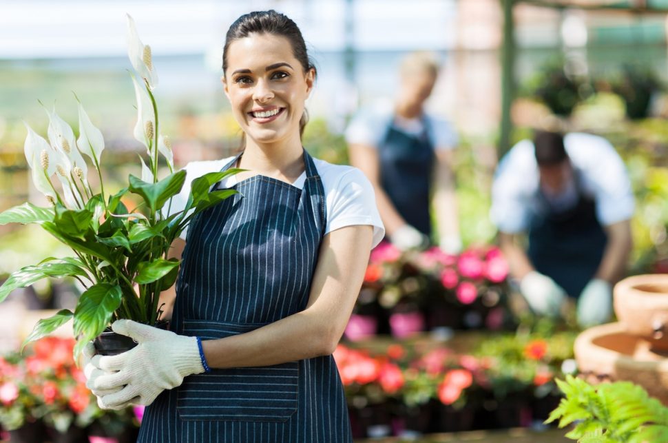 small scale businesses