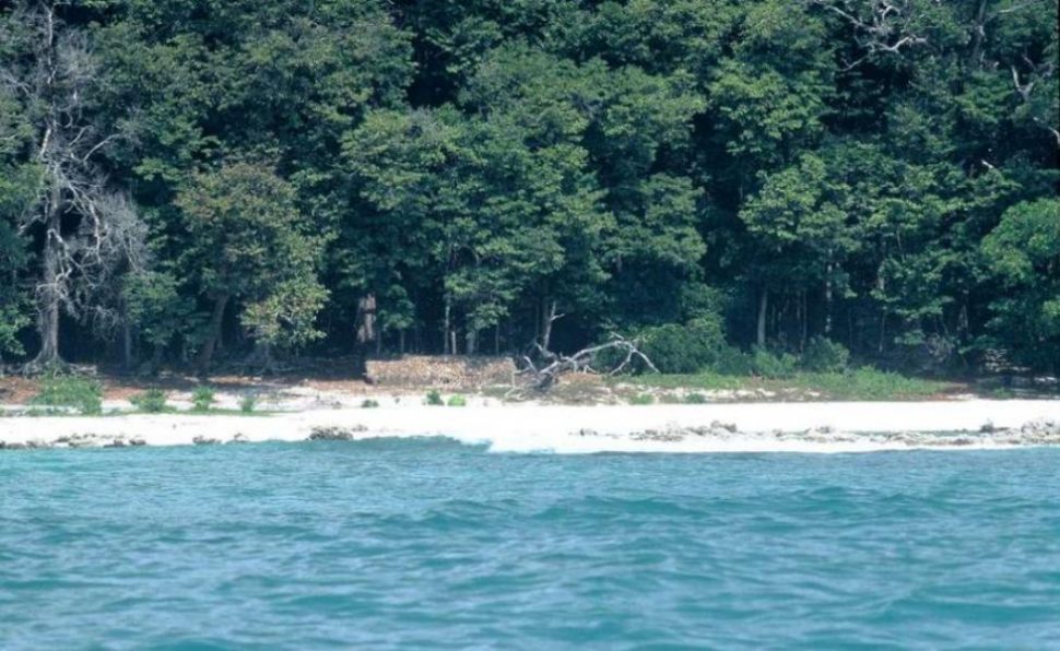 अमेरिकी टूरिस्ट की हत्या