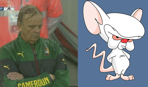 enhanced-11772-1402683746-1