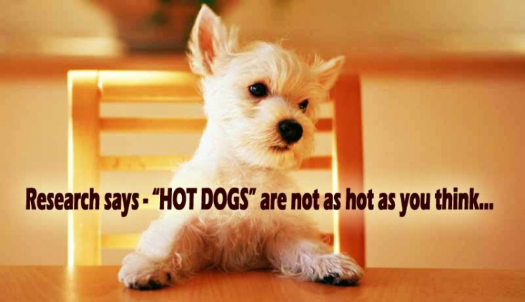 hotdogs