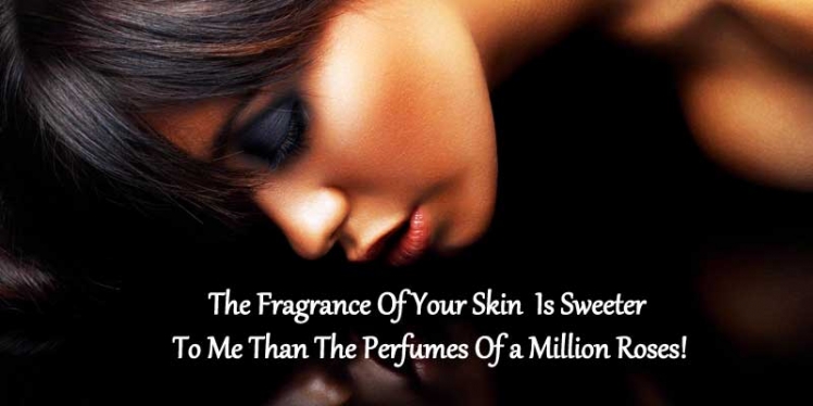 the-fragrance