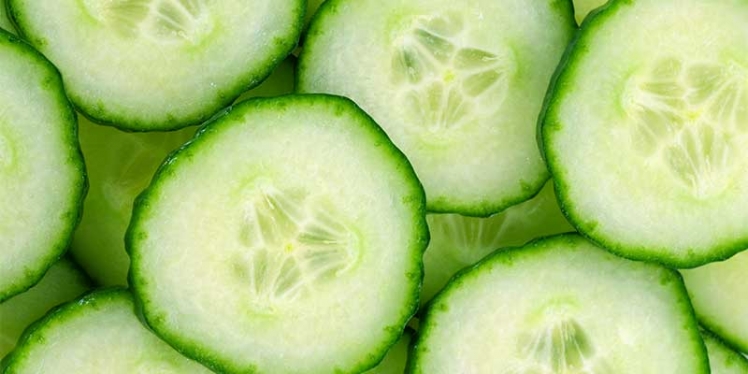 cucumber