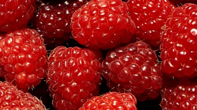 Raspberries