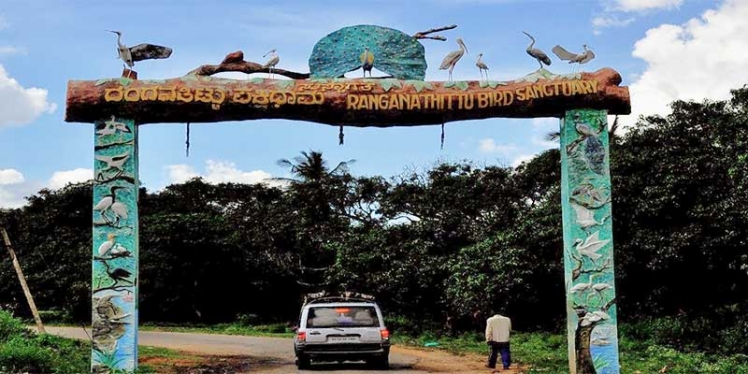 ranganthittu-bird-sanctuary