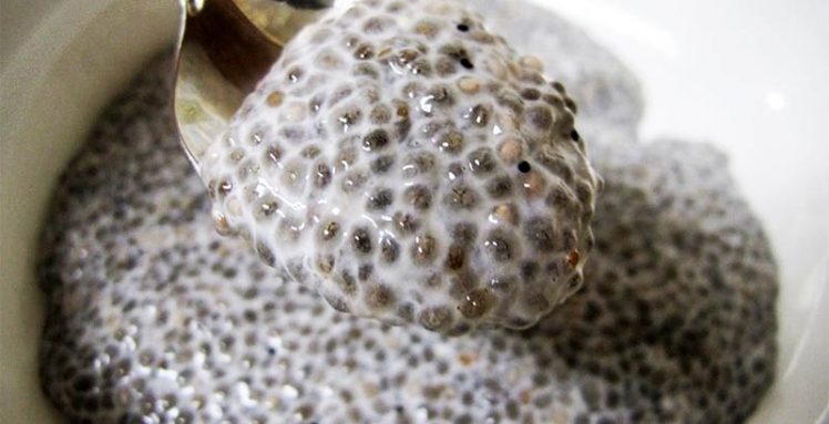 chia-seeds-absorb-water
