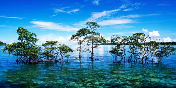 andaman-island