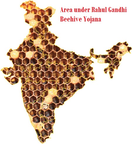 beehive_india