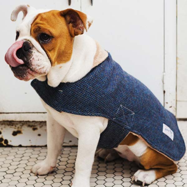 wool-coat-for-dog