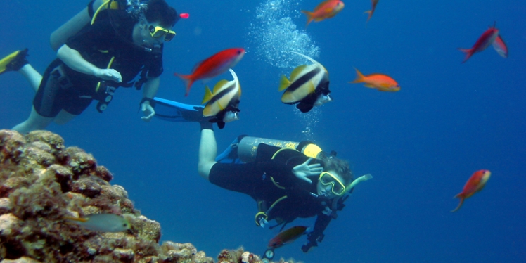 diving-in-Greece