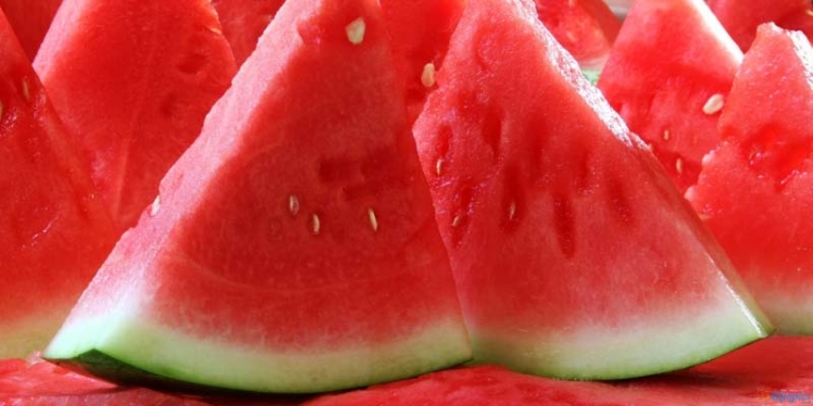 watermelon