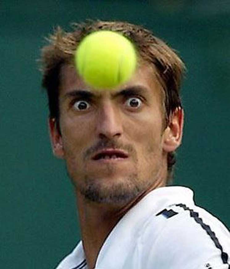 Funny images of sports - Unique Sports Images Will Make You Smile