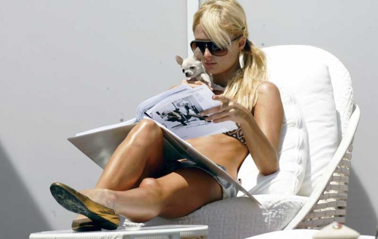 paris-hilton-reads-about-hrithik-roshan