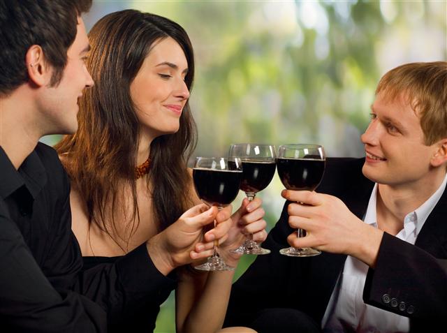 group-drinking-wine-Small