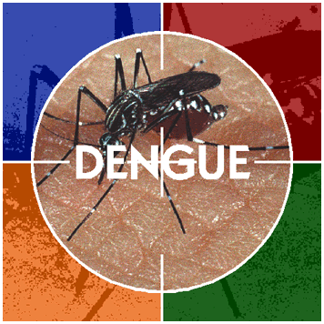 dengue_gd