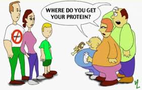 where_do_you_get_ur_protein