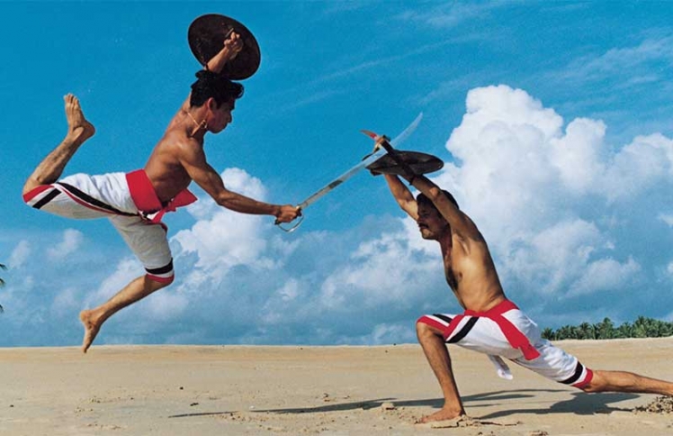 kalaripayattu