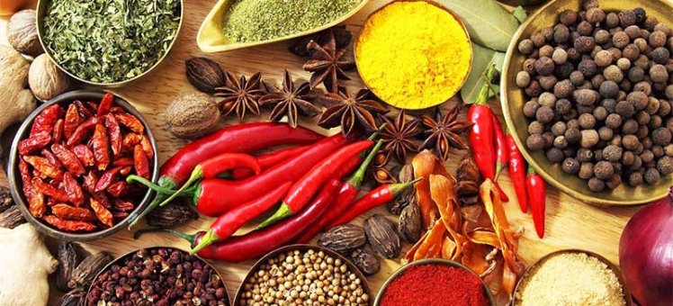 kerala-land-of-spice