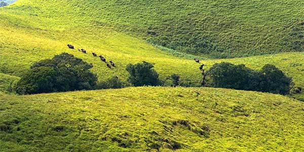 kudremukh
