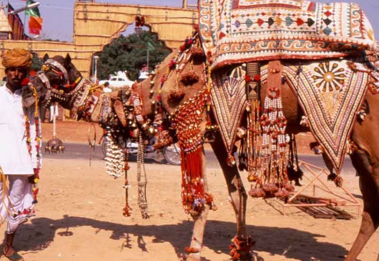 pushkar-festival