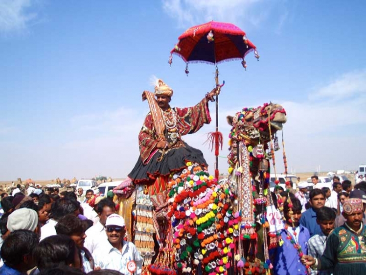 camel-ride-at-rann-utsav