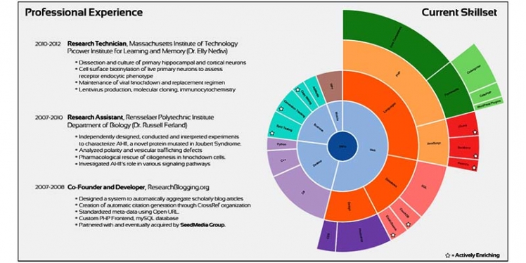 infographic-resume-by-youngisthan