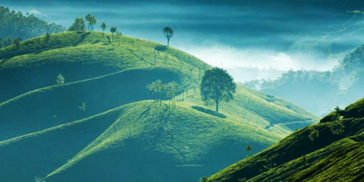 Munnar