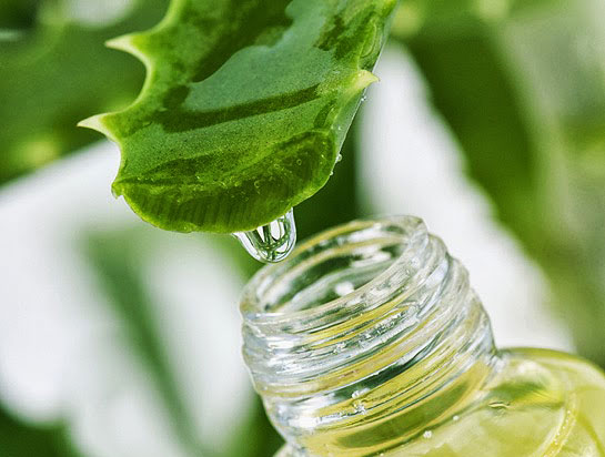 aloe-vera-wrikle-remover