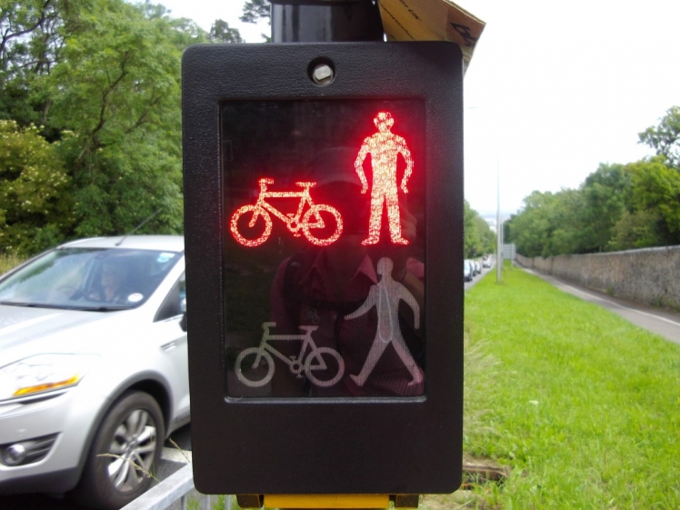 violating-traffic-rules