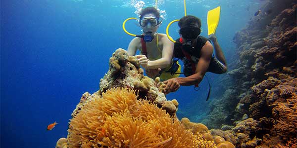 scuba-diving-lakshdweep-island