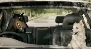 What Does This Ad Of CarTrade.com Even Imply??