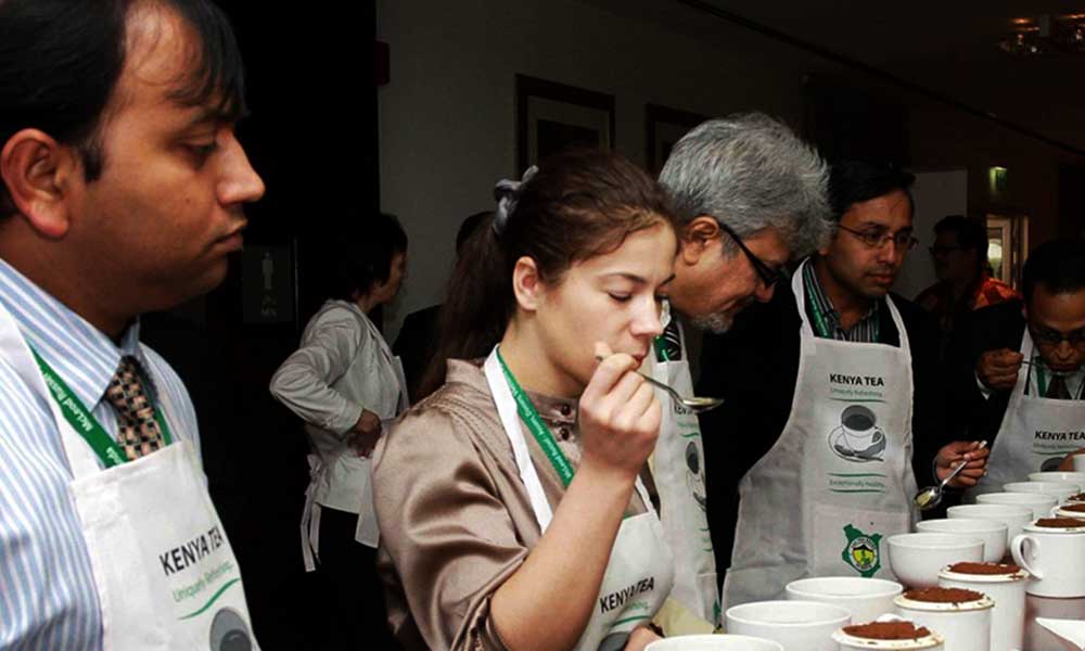 Tea tasting as a career