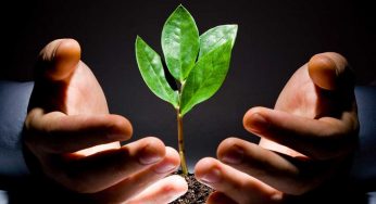 How To Know When Is The Best Time To Grow Your Start-Up Venture?
