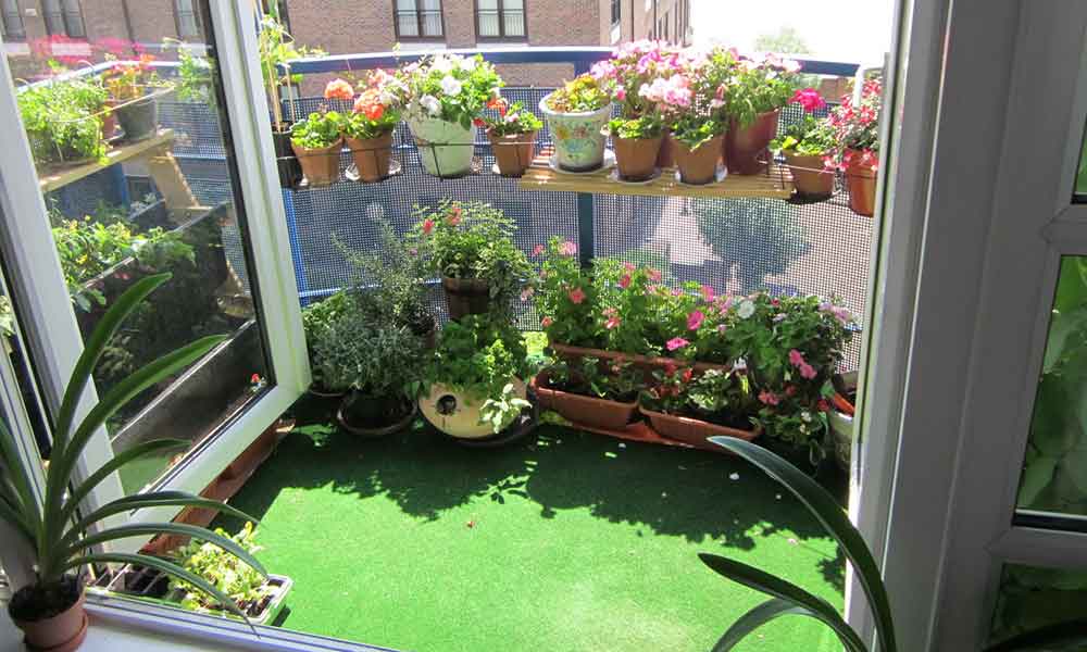 Balcony-Garden