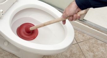 Save Your Poop, Make A Fortune