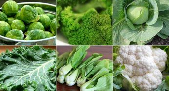 Belly Fat, Belly Fat Will You Go Away? Eat These, And I Guarantee I’ll Make A Way!