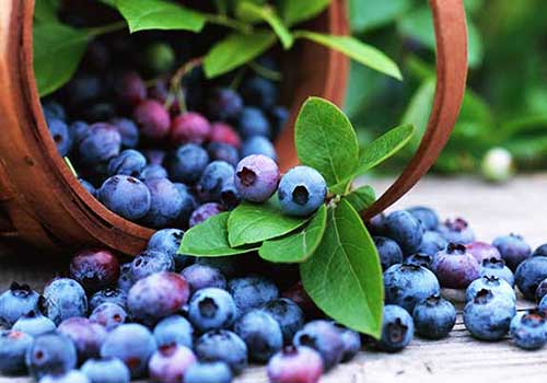 blueberries