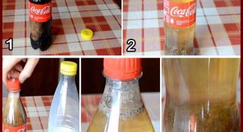 Thought Provoker Health Lesson In Five Pictures…