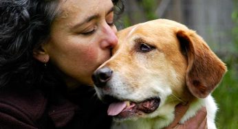 Having A Pet, Especially A Dog, Can Change Your Life!