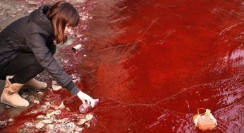 8 Shocking Pictures Show We Need To Curb Rising Pollution ASAP