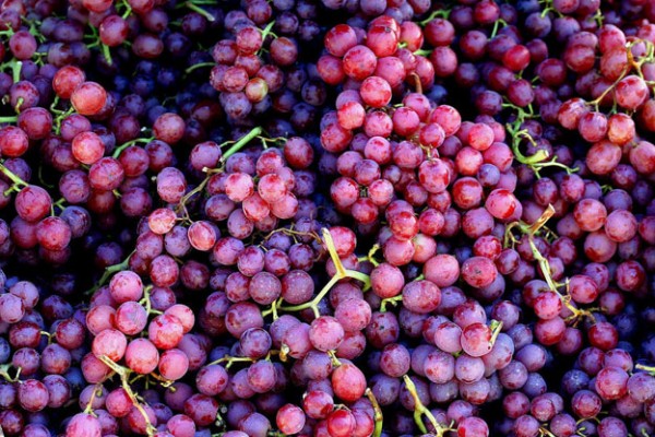 grapes