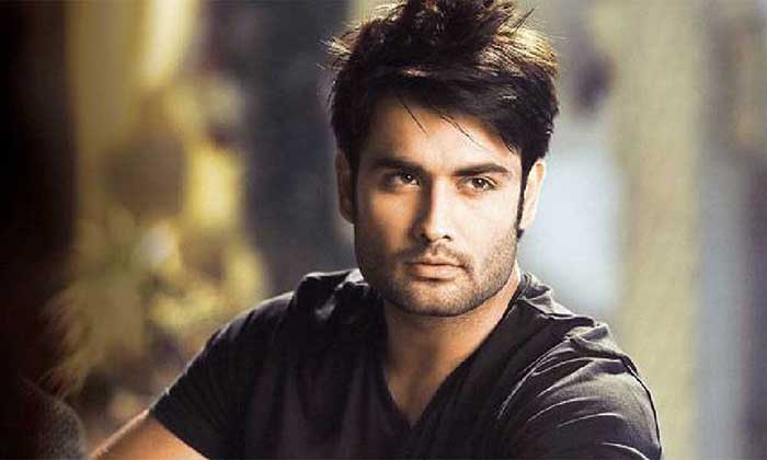 vivian dsena