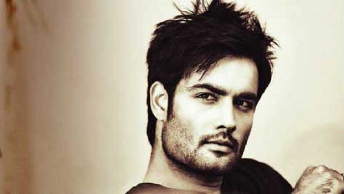 vivian dsena