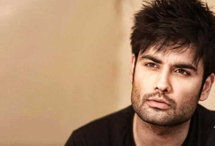 vivian dsena